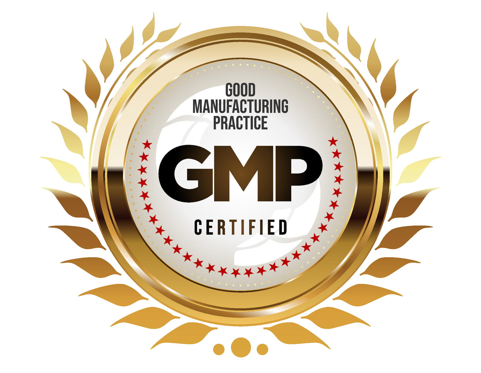 Good Manufacturing Practice GMP